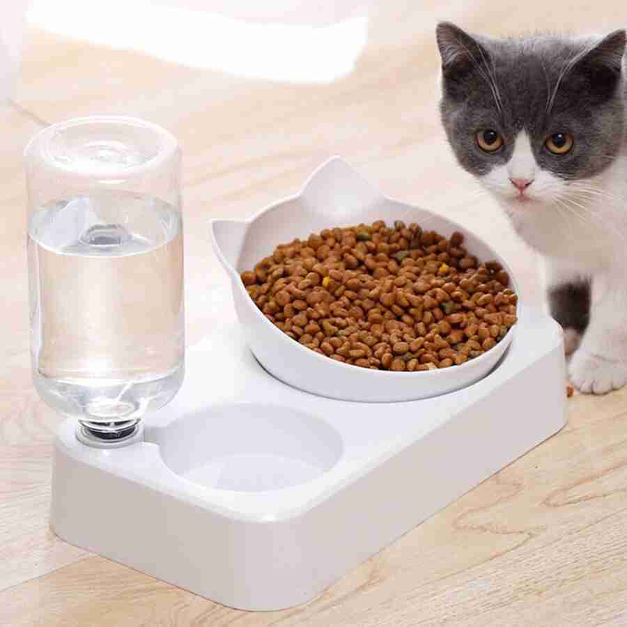 Vas pentru alimente cu distribuitor apa pentru pisici