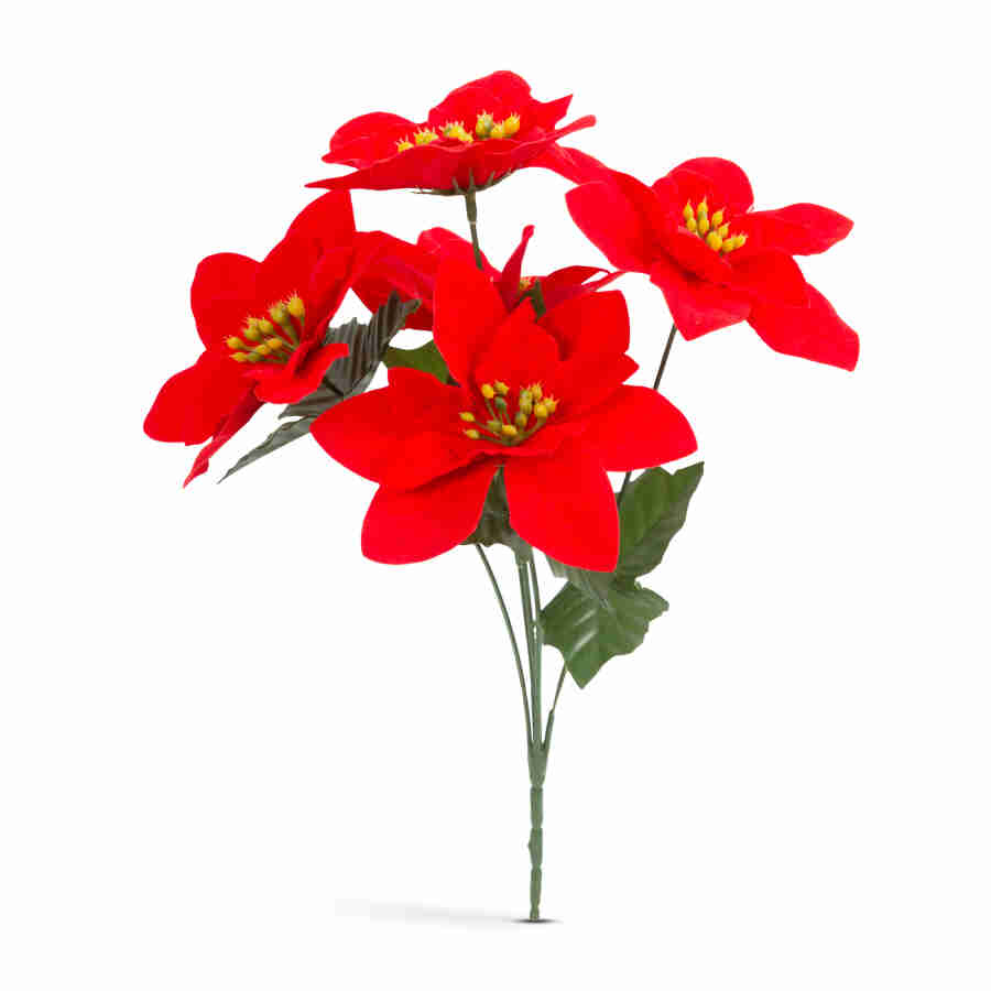 Decor de sărbători - Poinsettia roșie Scule Prodrom