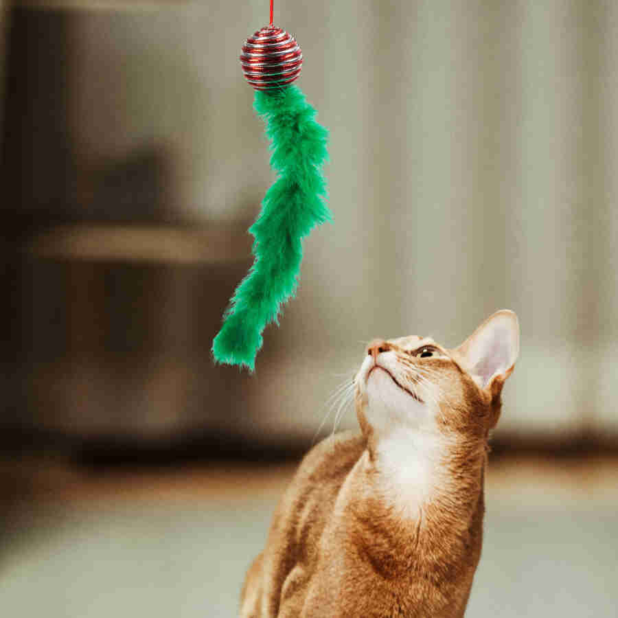 Jucărie pentru pisici - culori de Crăciun - 2 tipuri Scule Prodrom