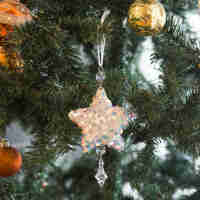 Ornament pentru bradul de Crăciun - stea- irizat