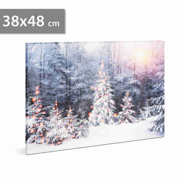 Tablou cu LED - peisaj de iarnă - LED - cu agățătoare